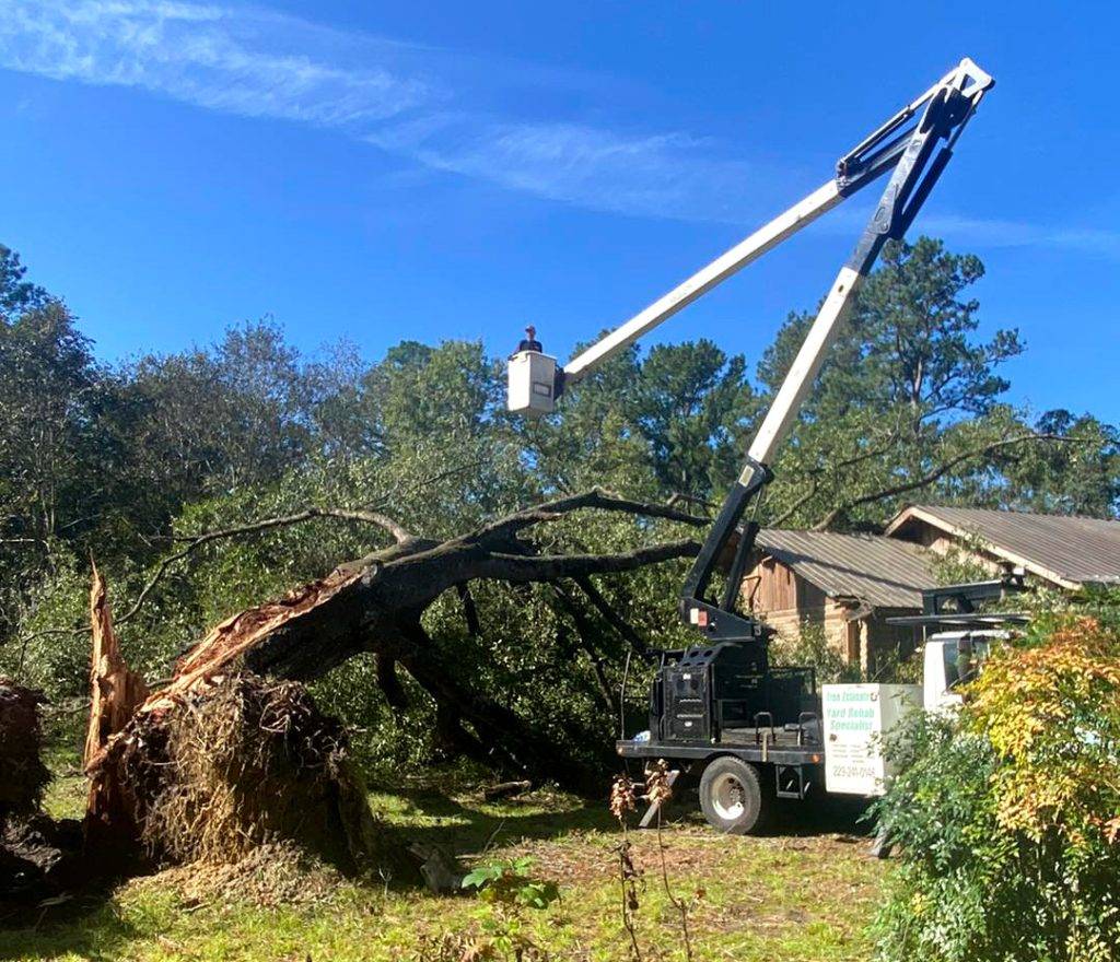 Cool Review About Tree Service Valdosta Ga